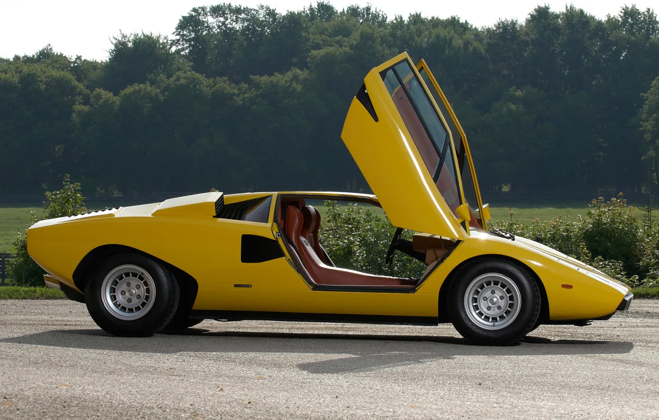 Photo wallpaper Lamborghini, the door, side view, the bushes, countach lp400