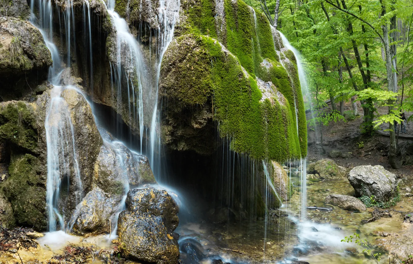 Photo wallpaper greens, forest, trees, stones, waterfall, moss