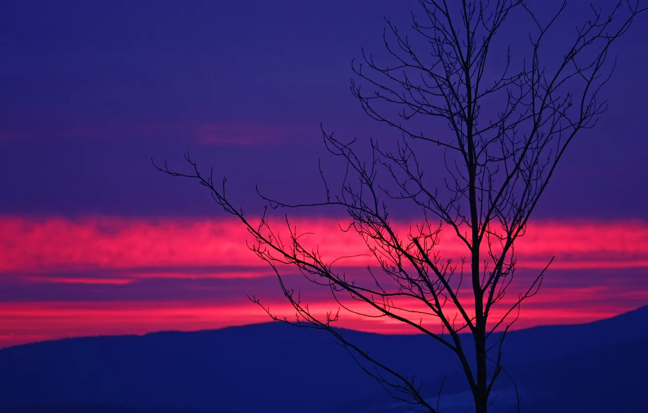 Photo wallpaper clouds, trees, mountains, silhouette, glow