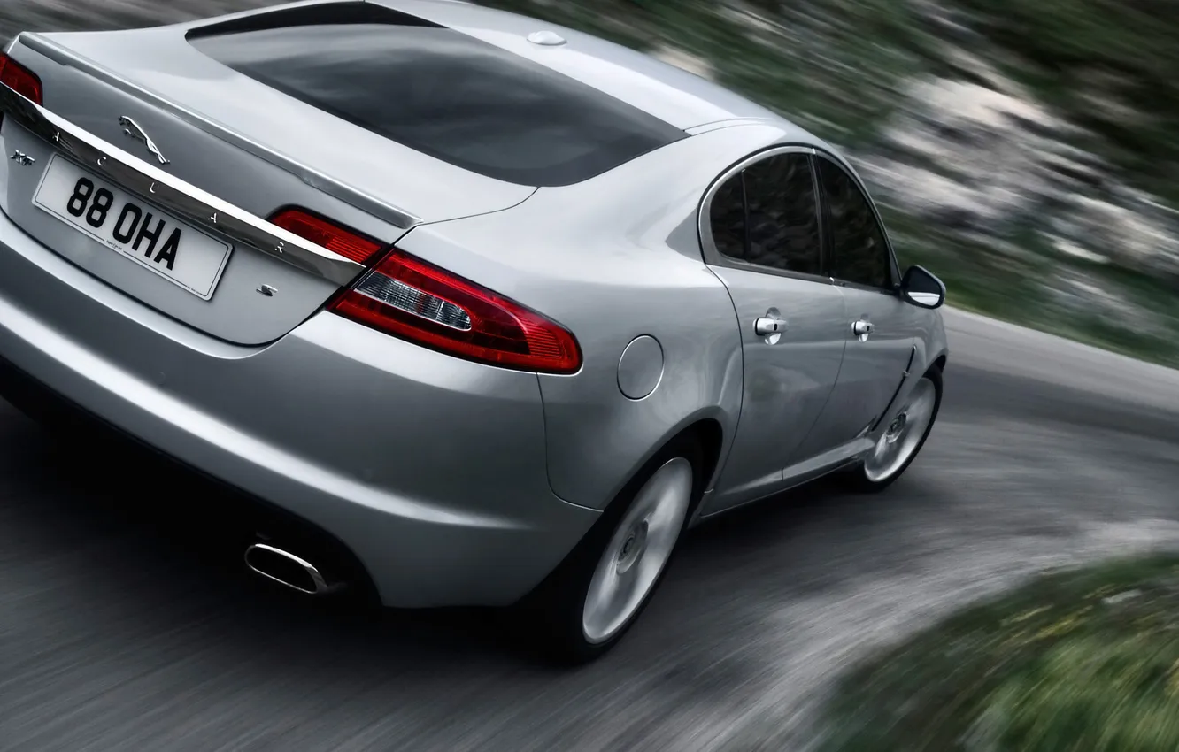 Photo wallpaper machine, Jaguar, rear view