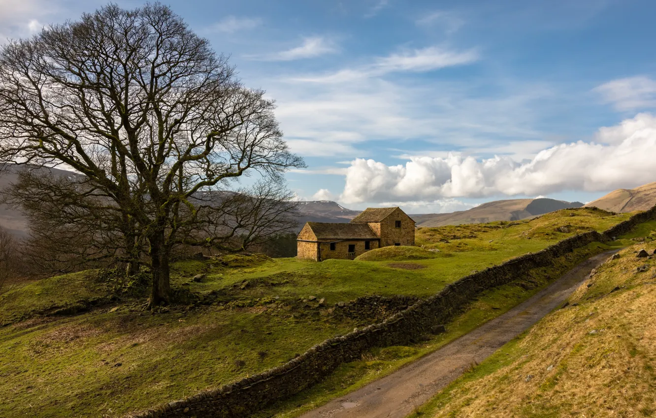 Photo wallpaper England, High Peak District, Hope Woodlands