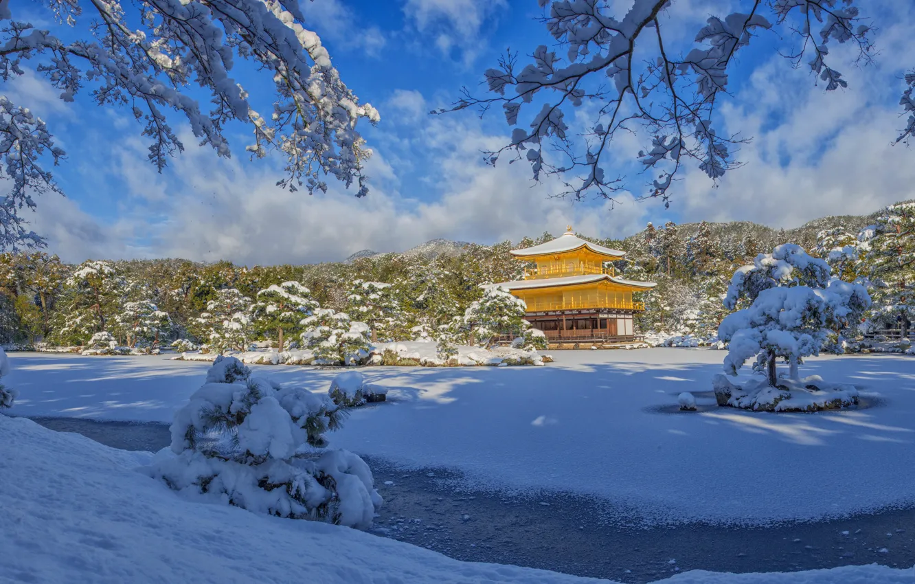 Photo wallpaper winter, snow, trees, landscape, branches, nature, Park, Japan