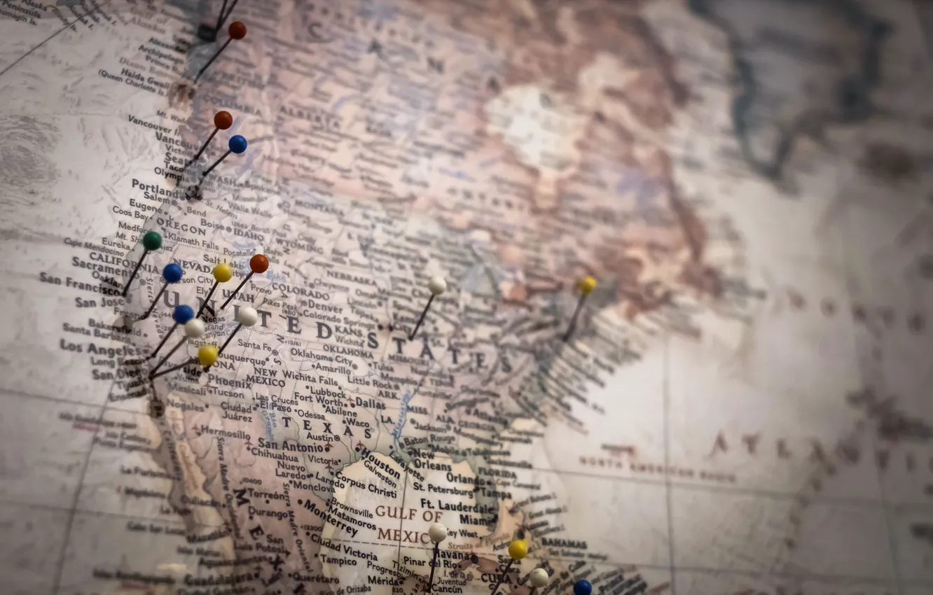 Photo wallpaper macro, map, holkie