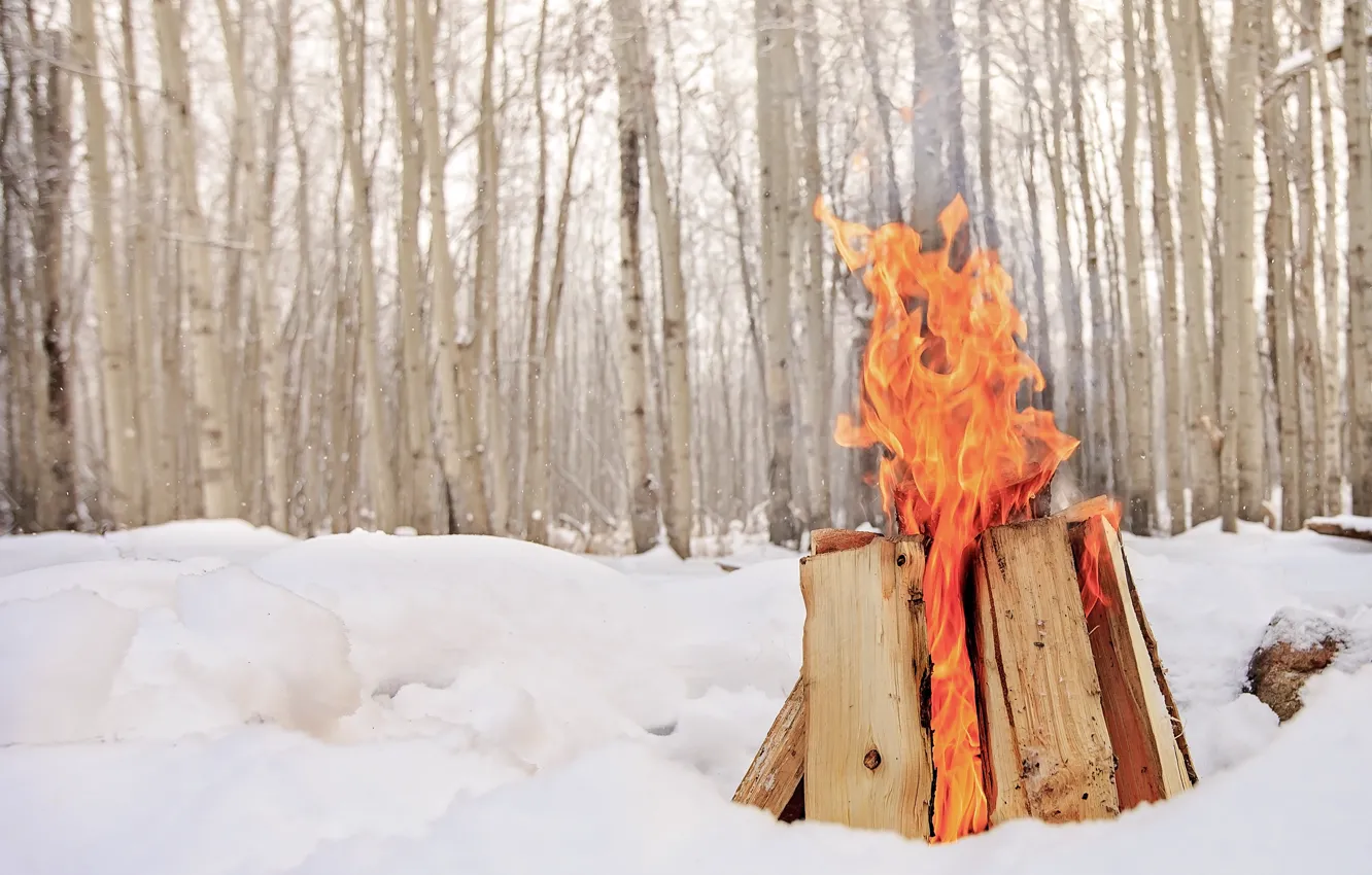Photo wallpaper winter, snow, fire, the fire