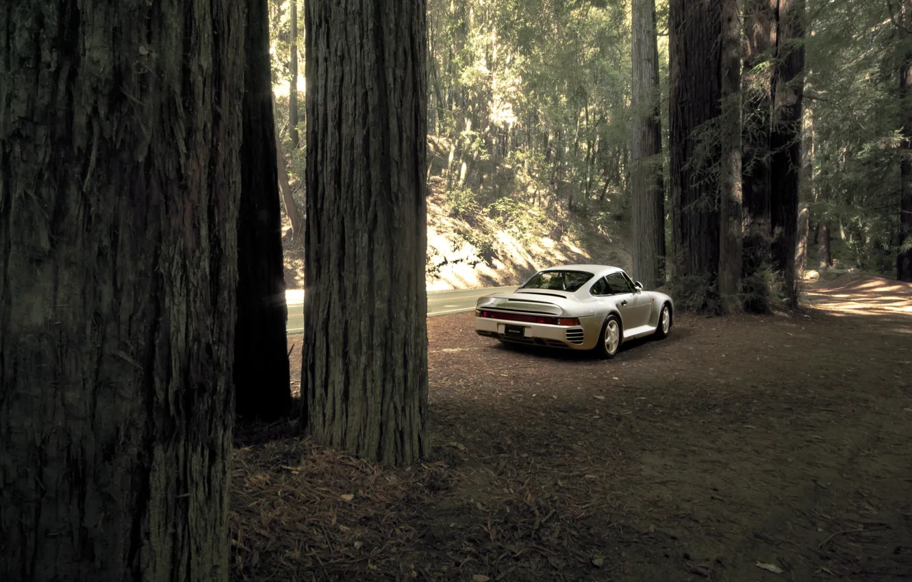 Photo wallpaper road, auto, forest, trees, supercar, stop, Porsche 959