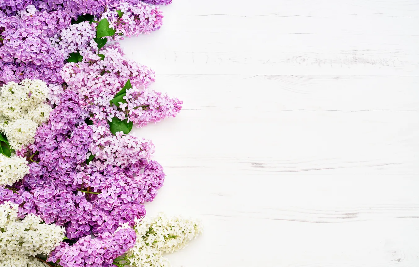Photo wallpaper flowers, wood, flowers, lilac, romantic, lilac