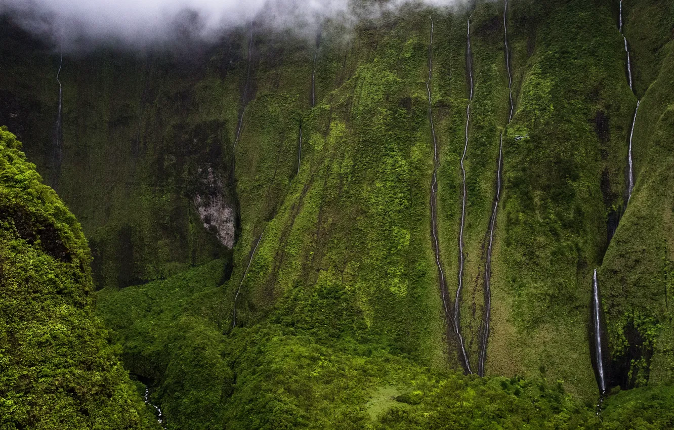 Photo wallpaper greens, summer, mountains, green, fog, rocks, vegetation, height