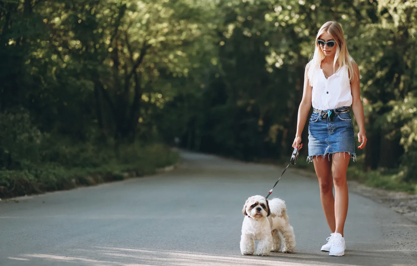 Photo wallpaper road, forest, girl, the sun, trees, nature, skirt, dog