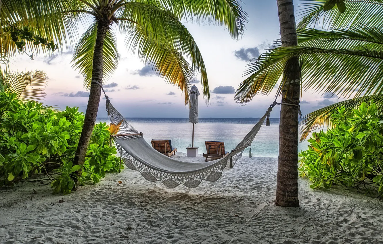 Photo wallpaper beach, summer, palm trees, stay, hammock, The Maldives, resort