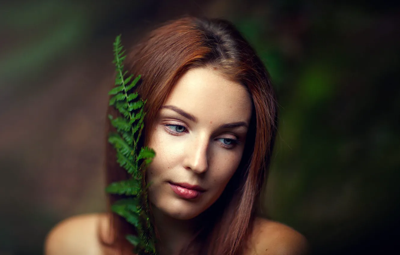 Photo wallpaper tenderness, sponge, the beauty, Peacefuil Forest