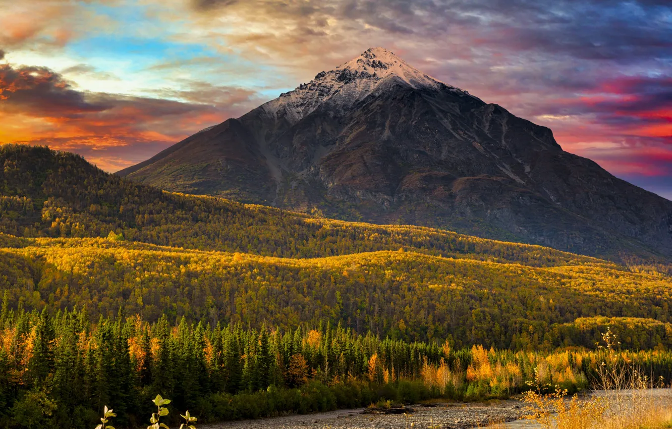 Photo wallpaper autumn, forest, landscape, mountains, nature, Alaska, USA, Kings Mountain