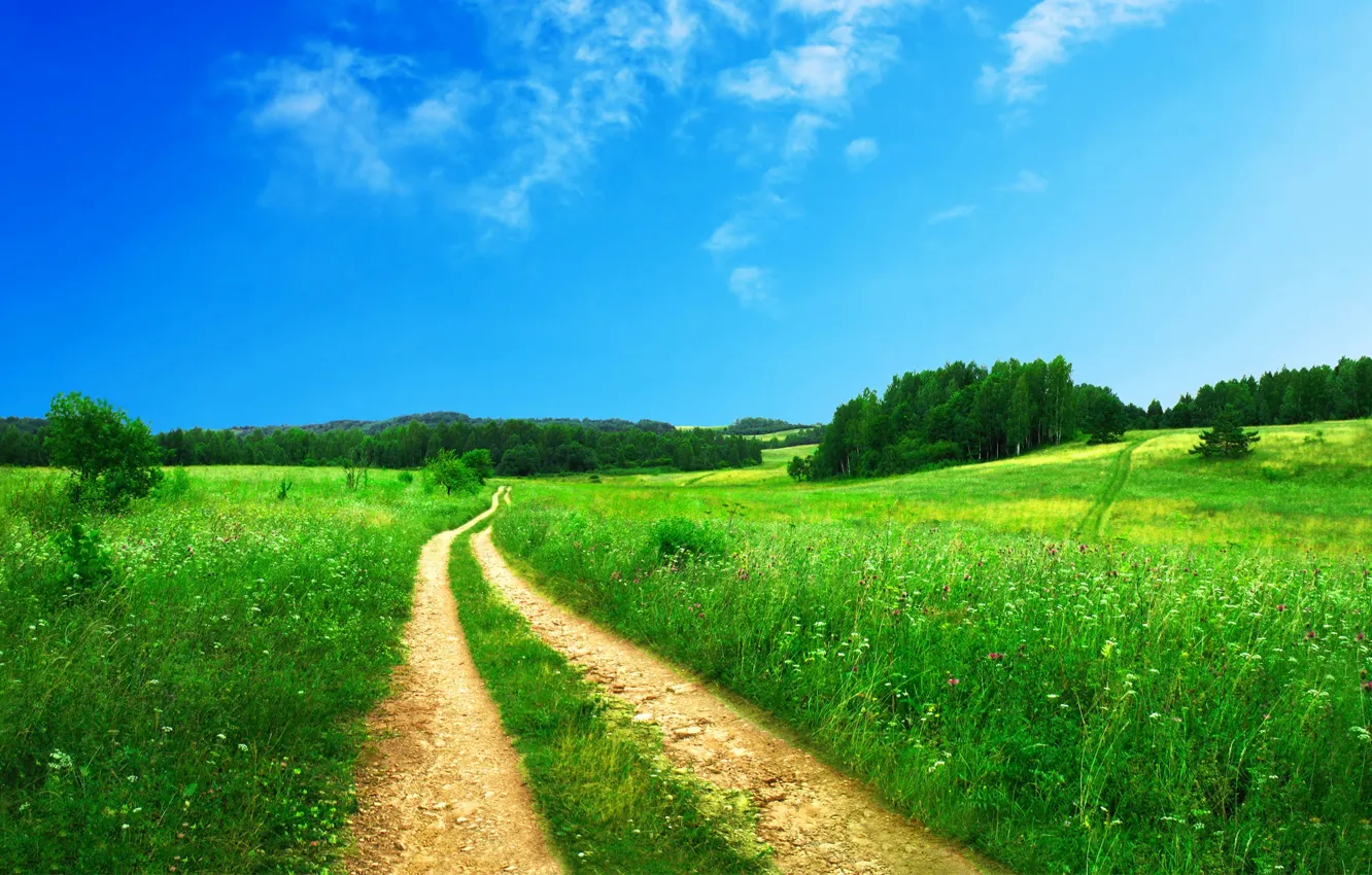 Photo wallpaper road, summer, grass, nature