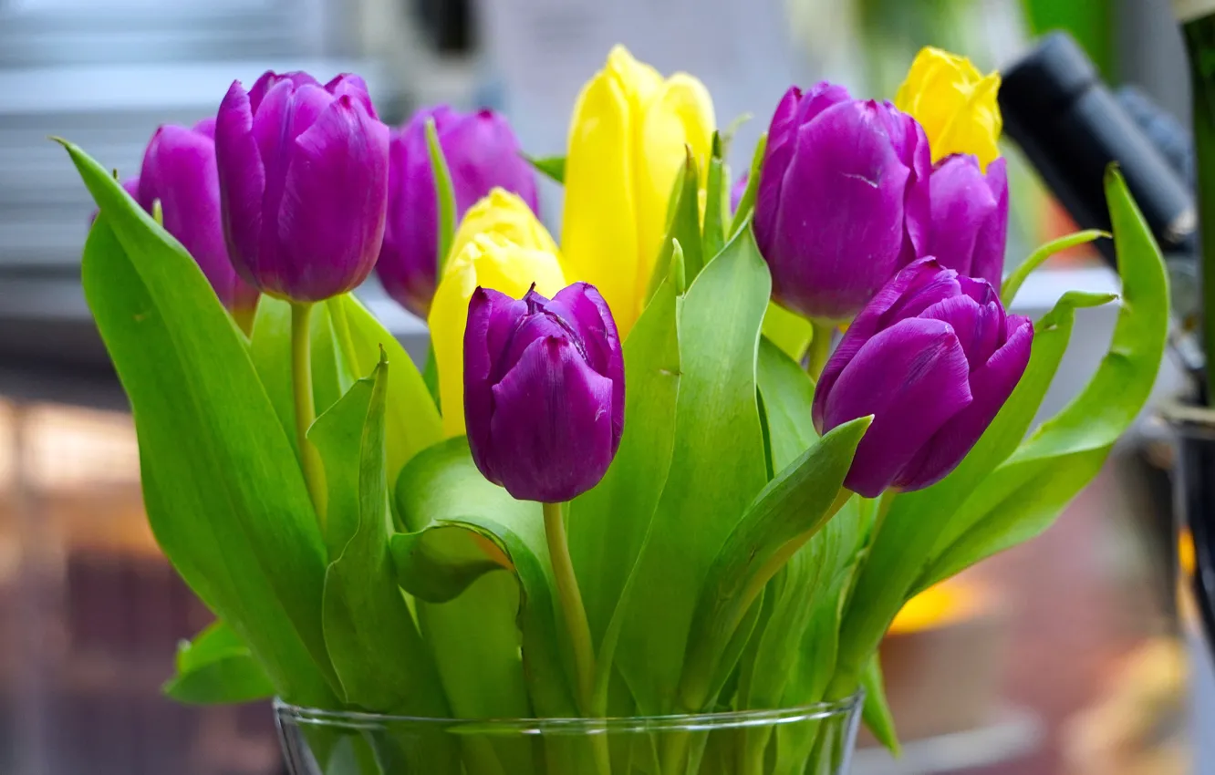 Photo wallpaper flowers, bouquet, tulips