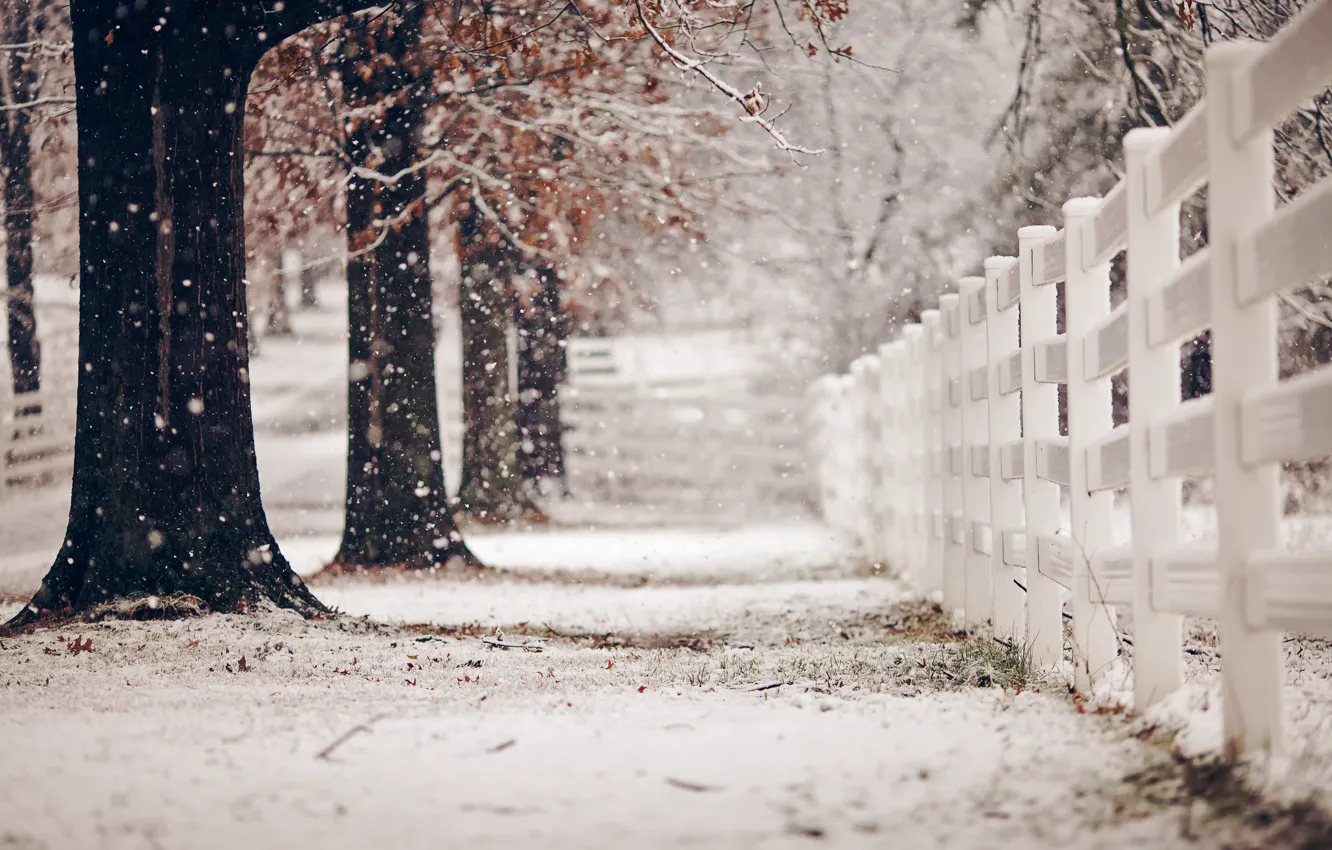 Photo wallpaper winter, street, the fence
