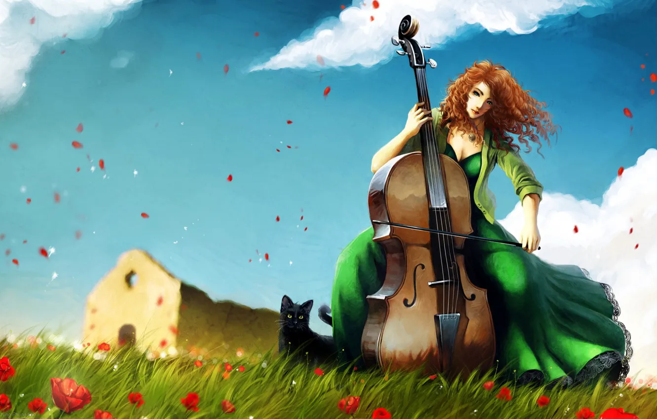 Photo wallpaper music, figure, 154, cello