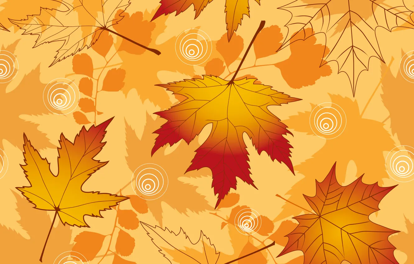 Photo wallpaper leaves, background, autumn, leaves, autumn, fall, maple