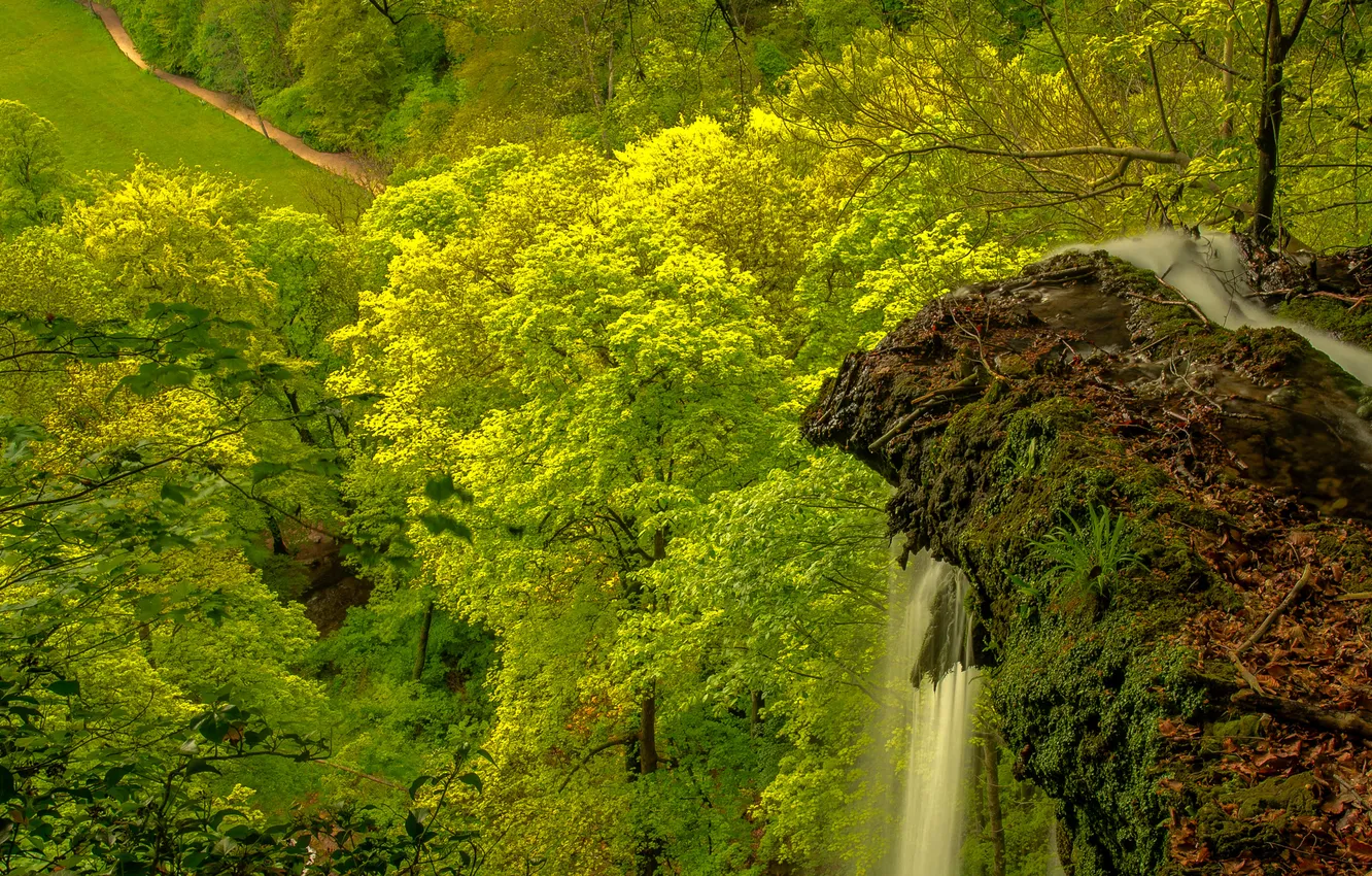 Photo wallpaper trees, mountains, rocks, waterfall, stream, valley