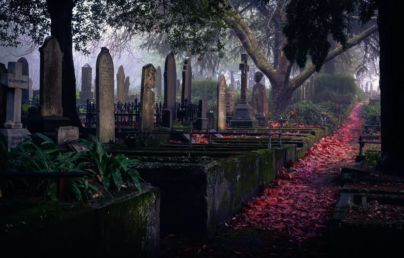 Photo wallpaper graves, cemetery, tombstones