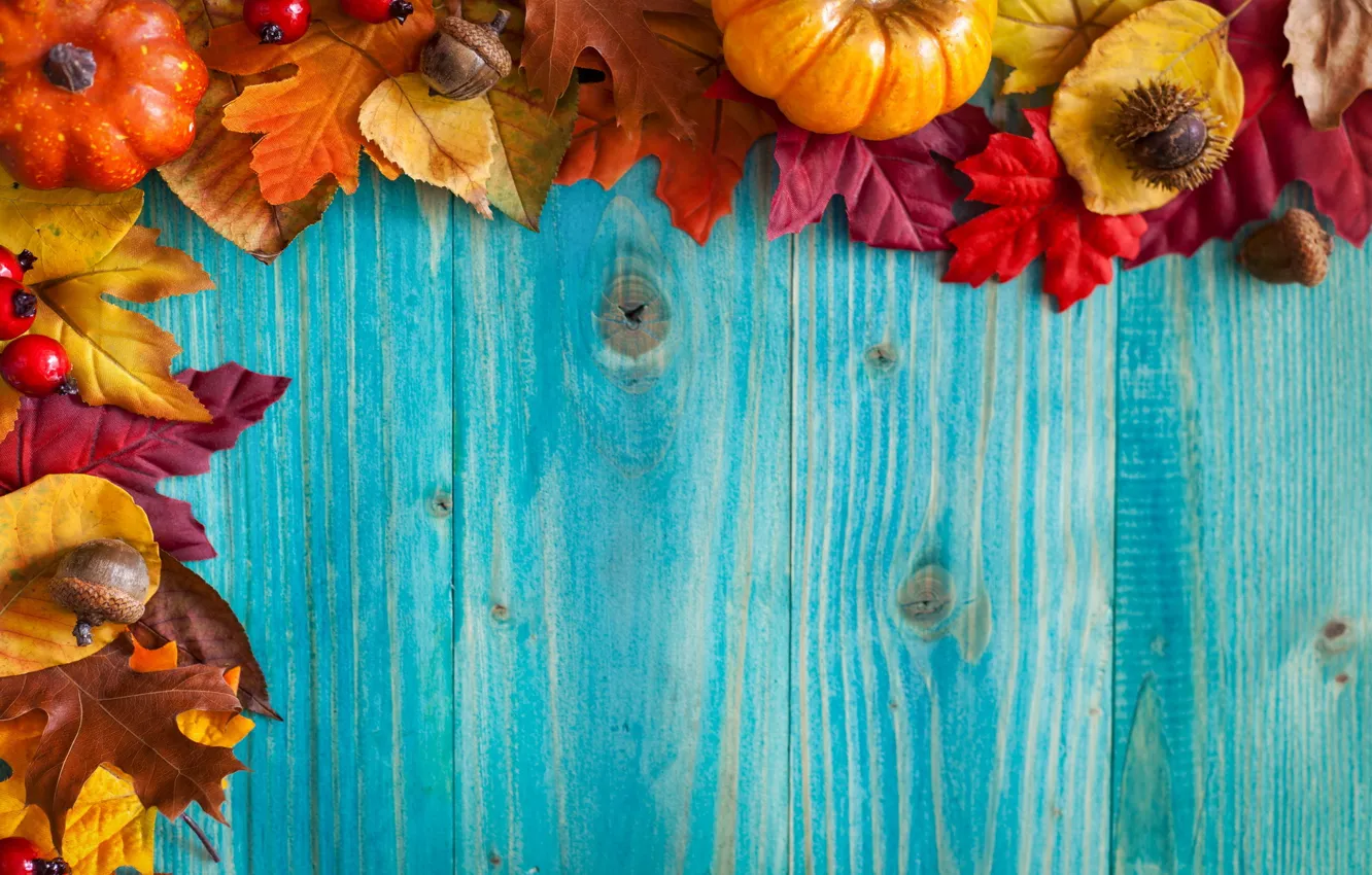 Photo wallpaper autumn, leaves, Board, acorns