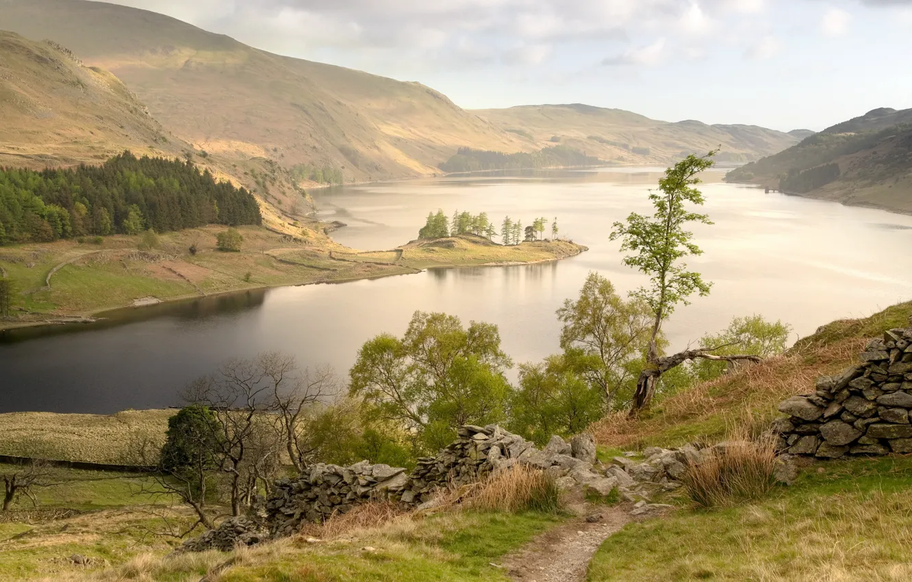 Photo wallpaper trees, landscape, mountains, nature, lake