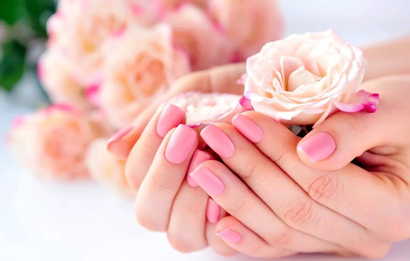 Photo wallpaper roses, hands, manicure
