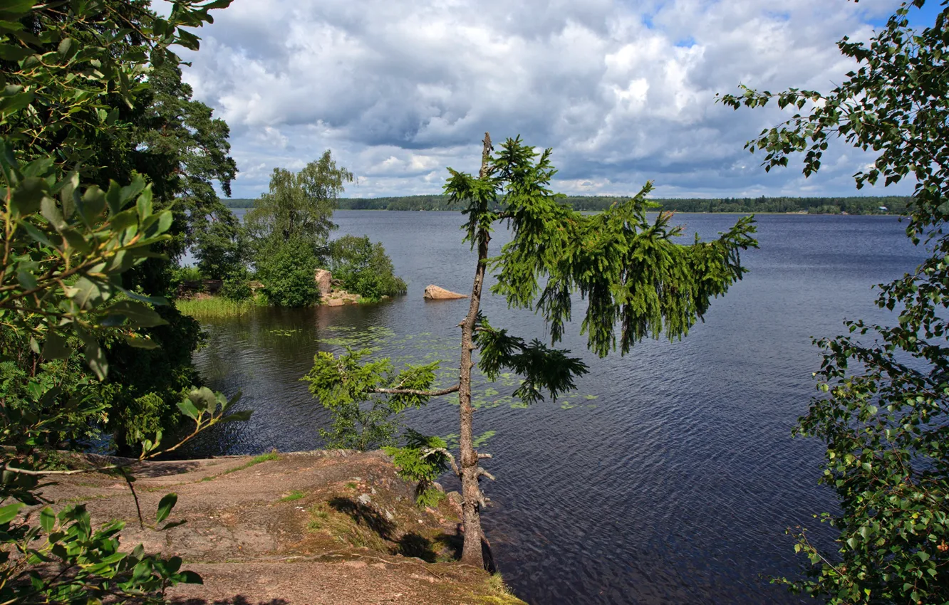 Photo wallpaper the sun, clouds, trees, Park, river, stones, shore, Bay