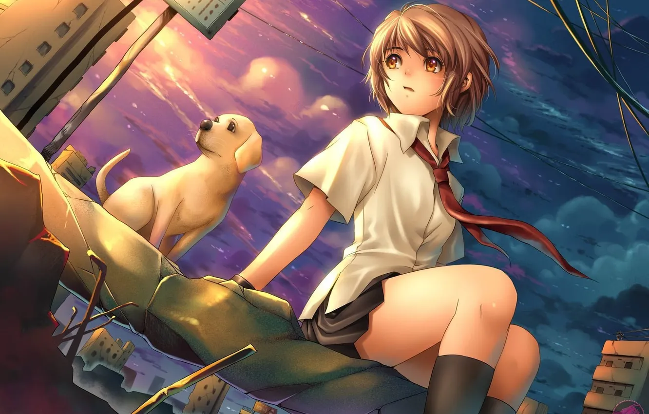 Photo wallpaper girl, sitting, dog