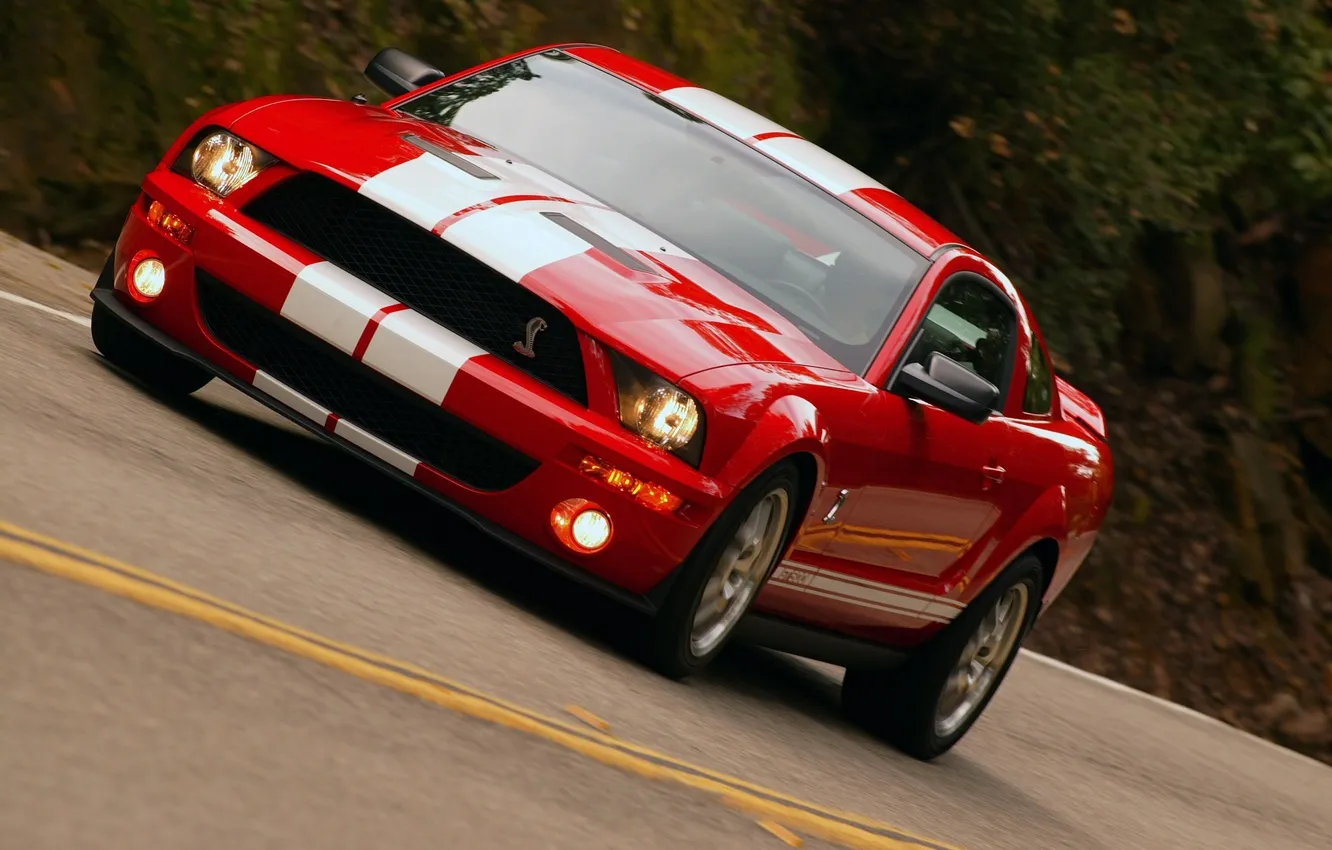 Photo wallpaper Shelby, GT500, Ford Mustang