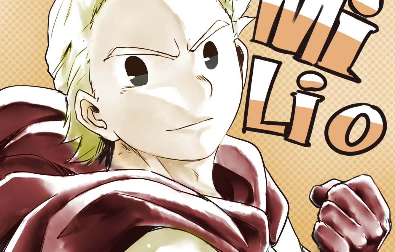 Photo wallpaper look, hero, guy, Boku no Hero Academy, My heroic academia, Gowned Reading Through The