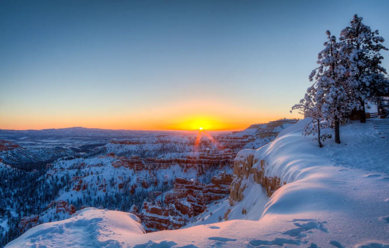 Photo wallpaper winter, snow, trees, sunrise, dawn, morning, canyon, panorama