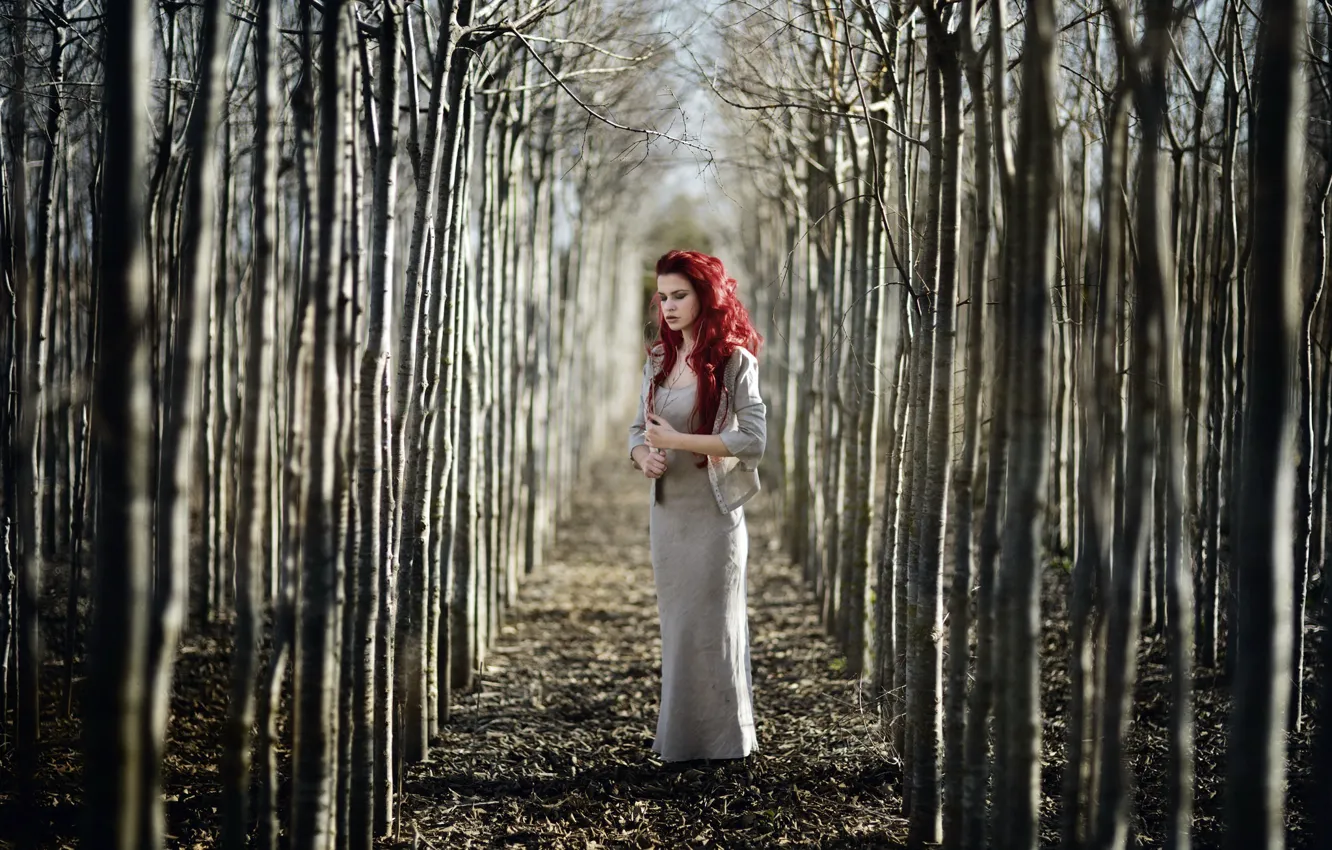 Photo wallpaper girl, trees, nature