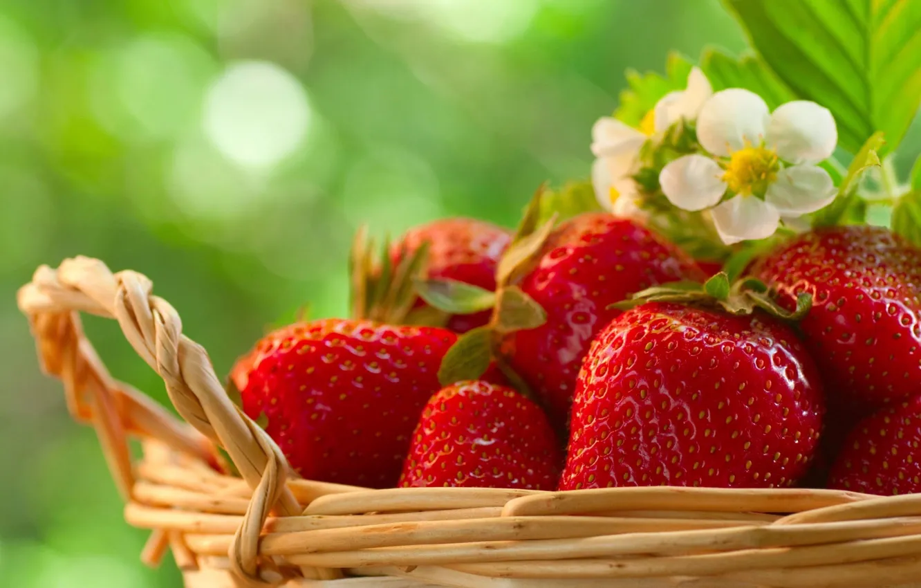 Photo wallpaper flowers, berries, strawberry, vitamins