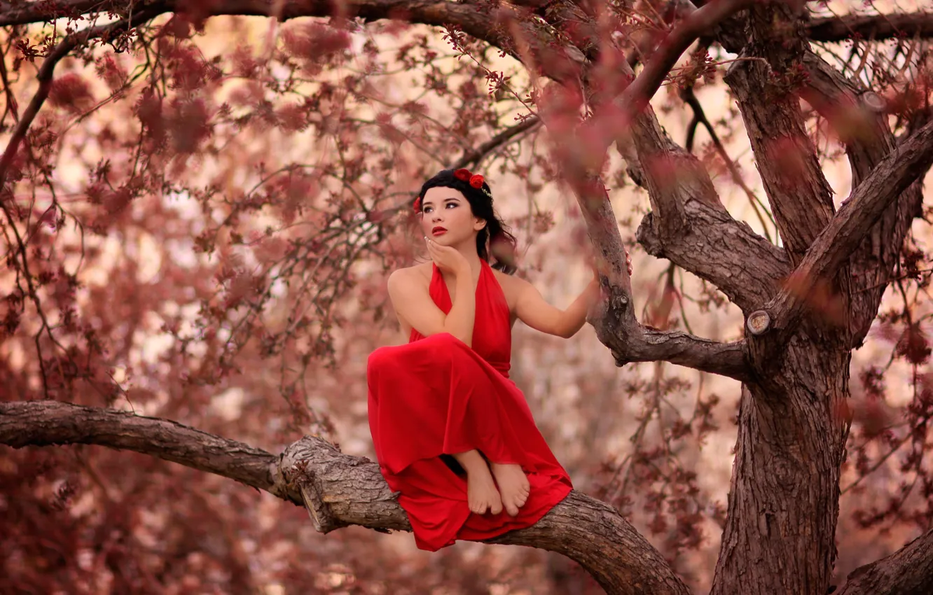 Photo wallpaper girl, red dress, on the tree