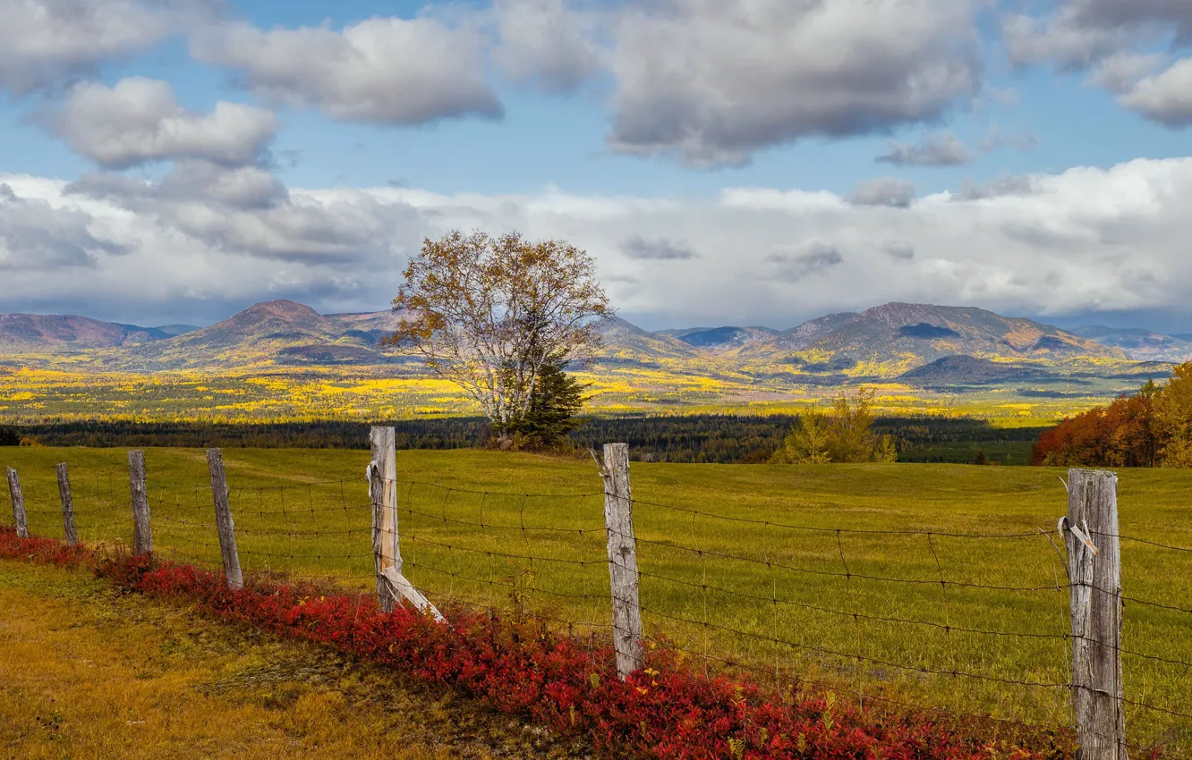 Photo wallpaper autumn, the fence, Canada, Quebec, Notre-Dame-des-Monts