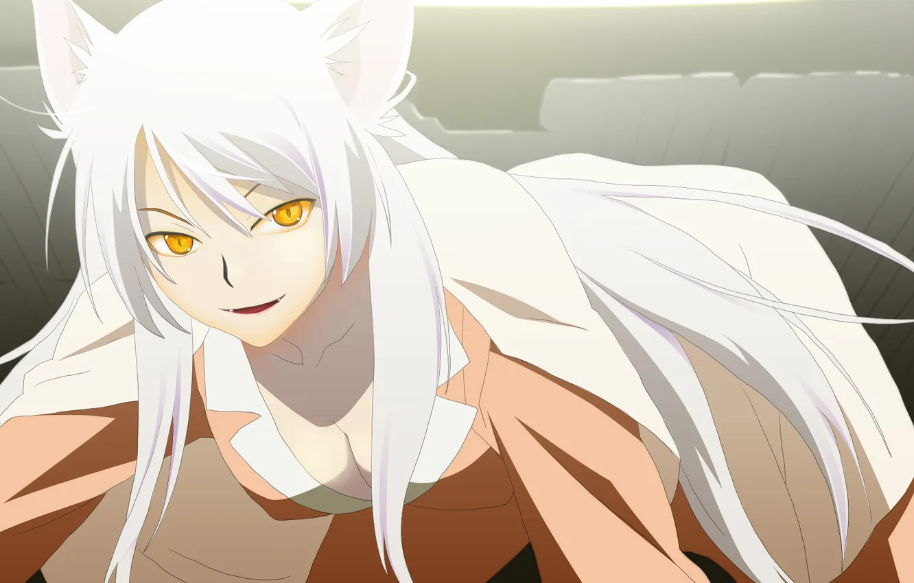 Photo wallpaper girl, ears, bakemonogatari, hanekawa tsubasa, Monogatari (Series)