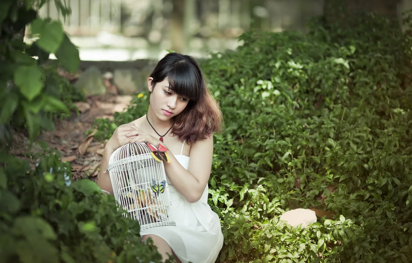 Photo wallpaper girl, butterfly, Asian