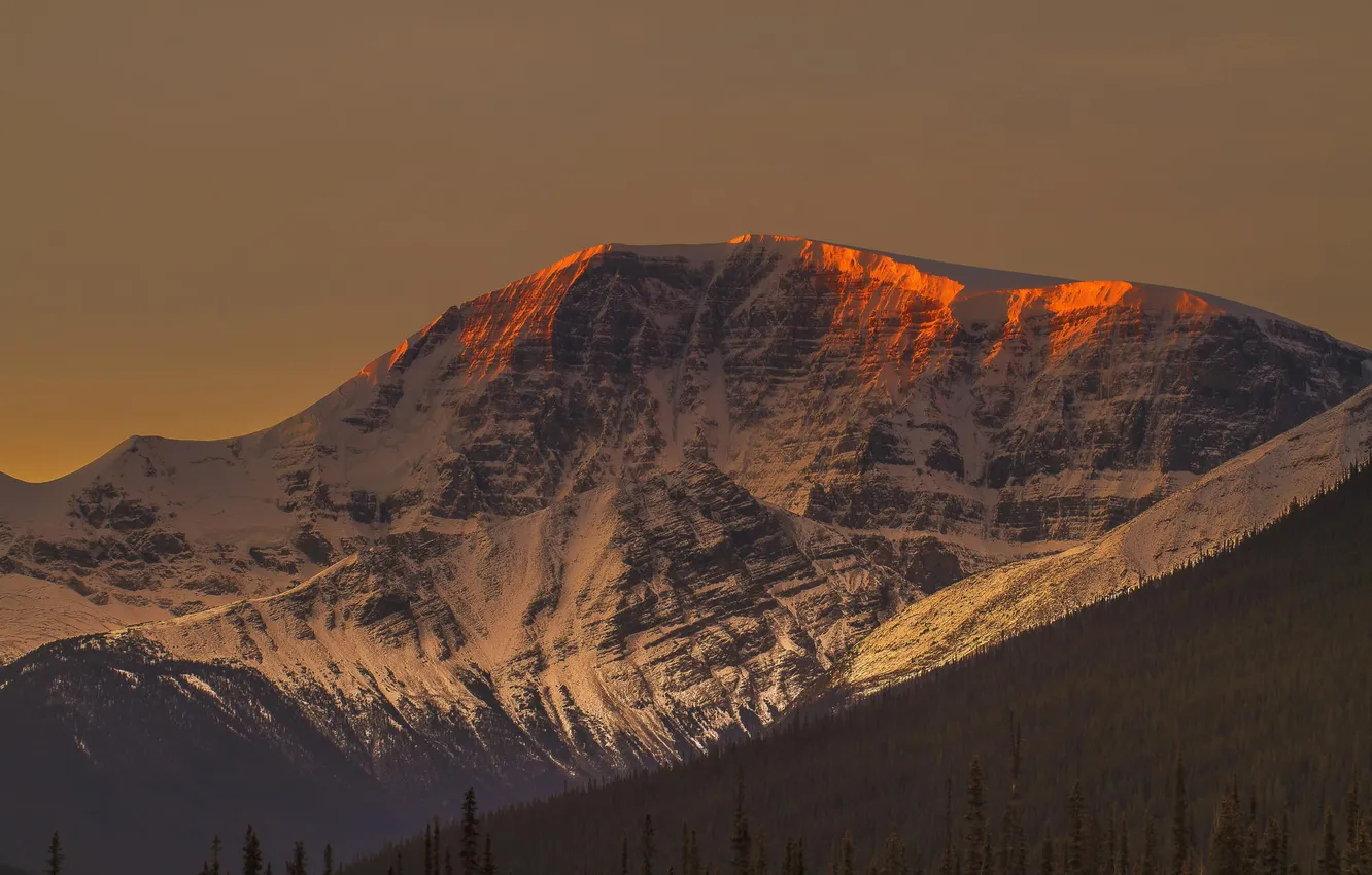 Photo wallpaper forest, snow, mountains, nature, tops