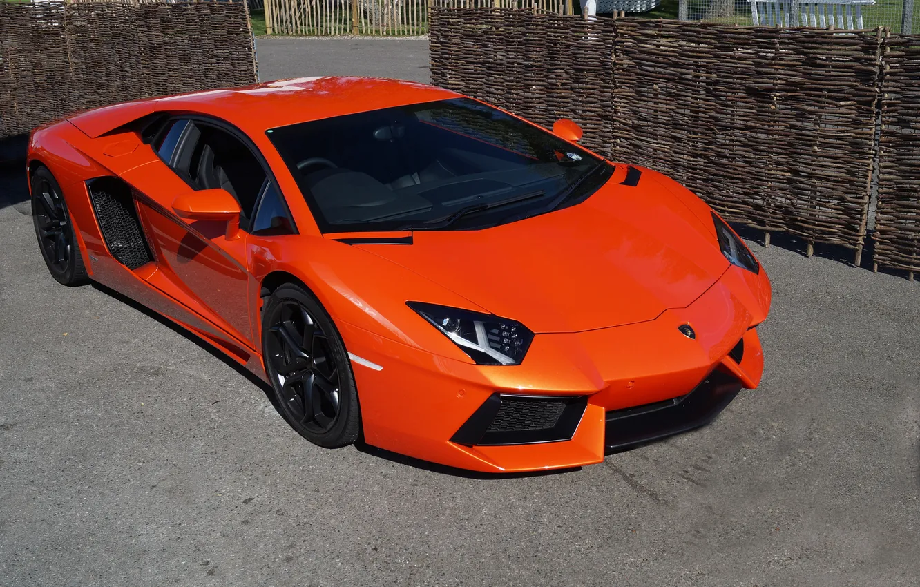 Photo wallpaper orange, Lamborghini, the view from the top, orange, LP700-4, Aventador, Lamborghini, aventador