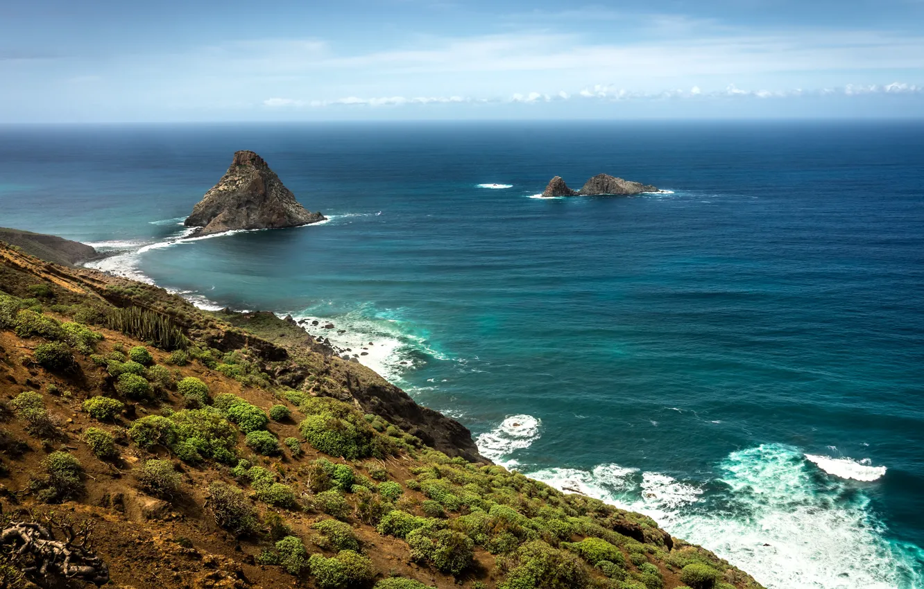 Photo wallpaper sea, the sky, rocks, shore, vegetation