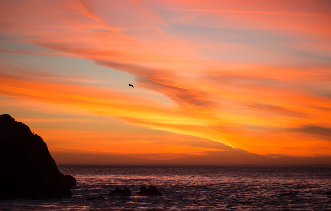 Photo wallpaper sea, the sky, clouds, sunset, rocks, bird