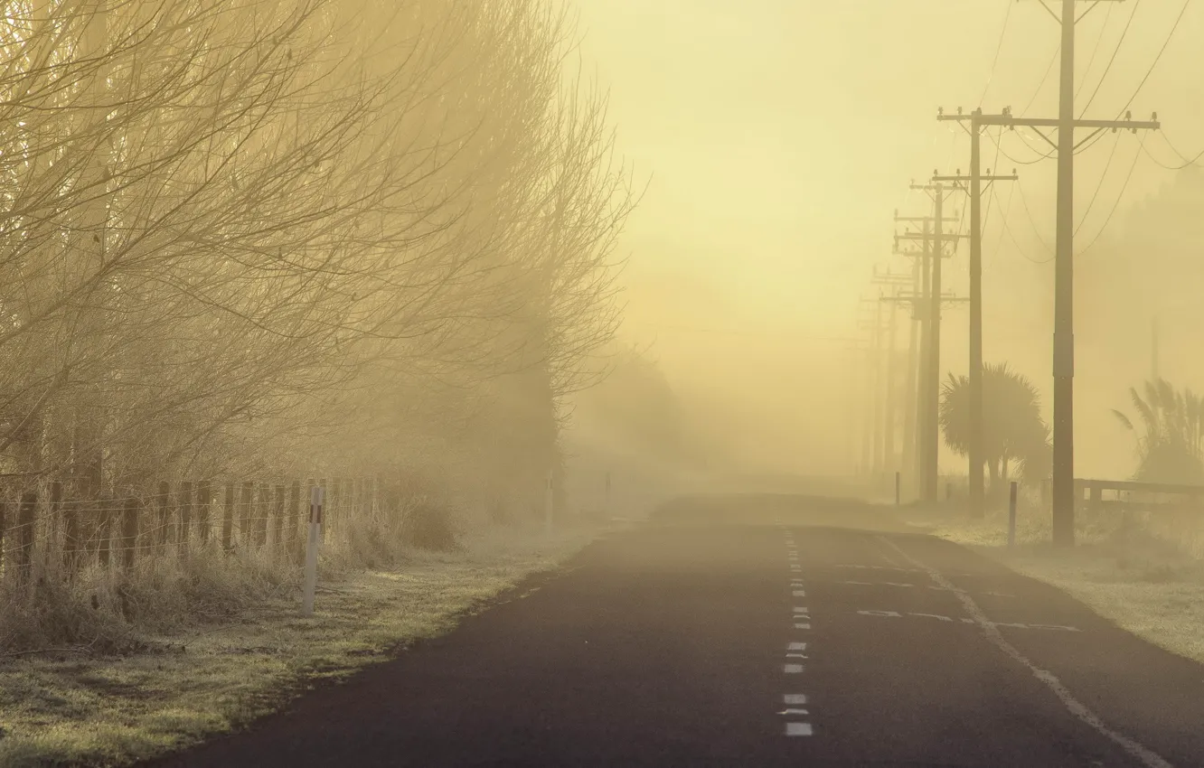 Photo wallpaper road, landscape, fog, morning