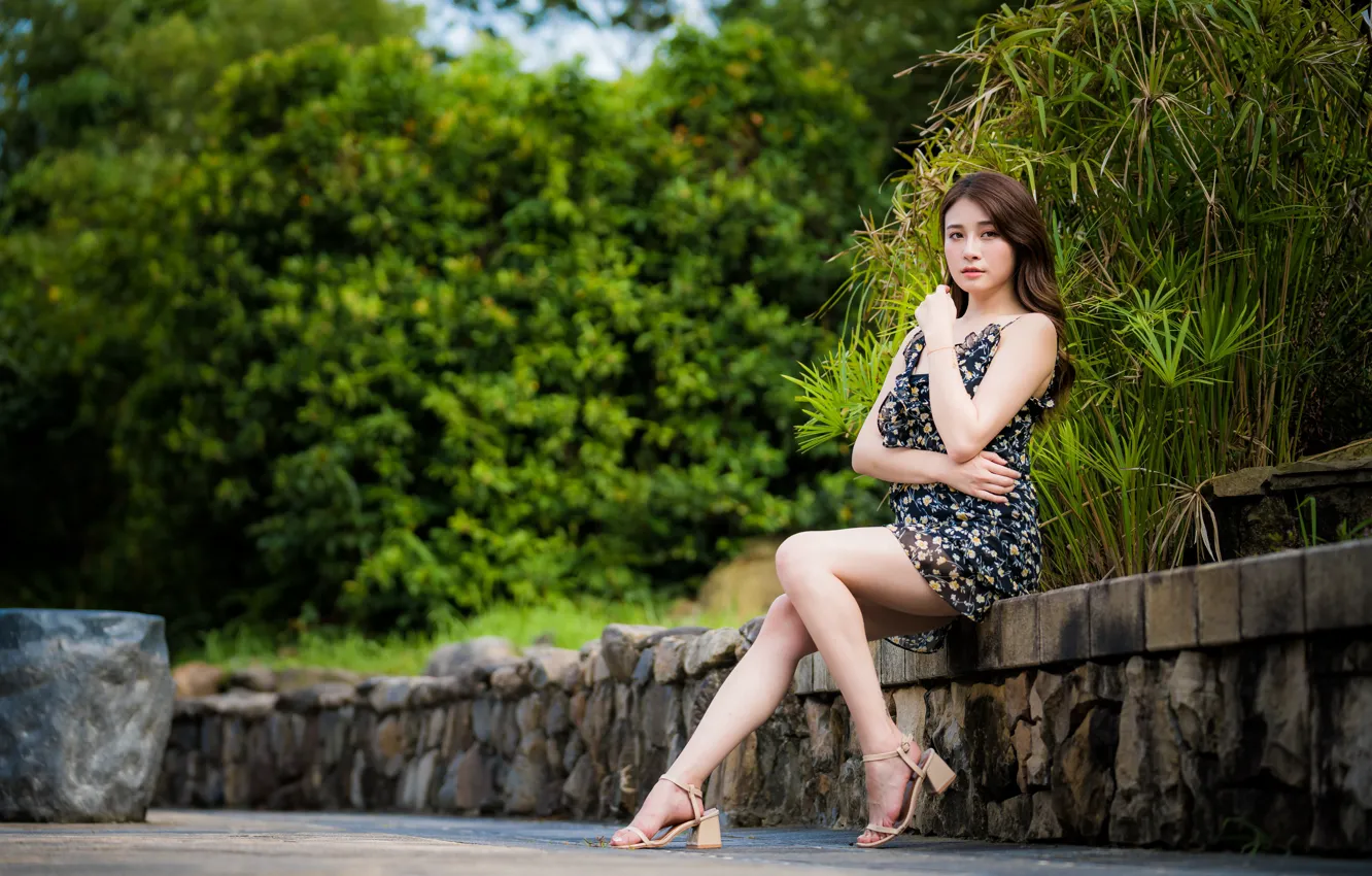 Photo wallpaper dress, legs, Asian