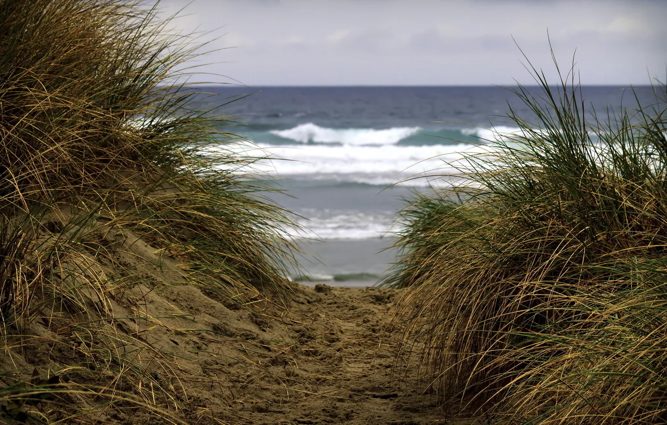 Photo wallpaper sea, nature, dunes