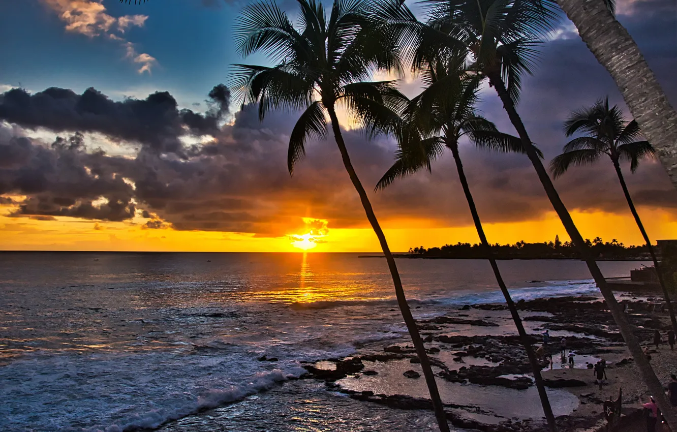 Photo wallpaper sunset, palm trees, the ocean, coast, Hawaii, Pacific Ocean, Hawaii, The Pacific ocean