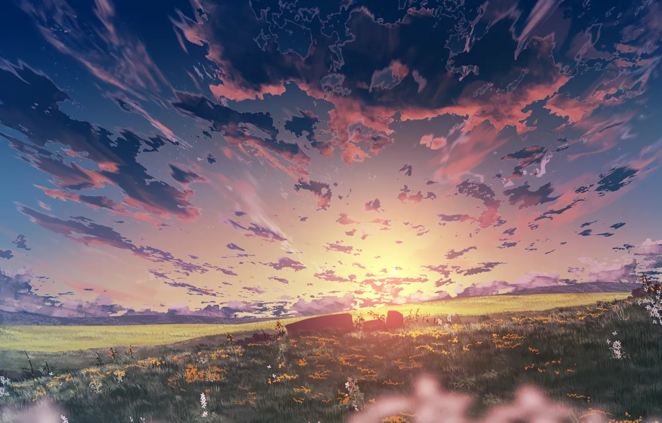 Photo wallpaper field, the sky, sunset, flowers, nature