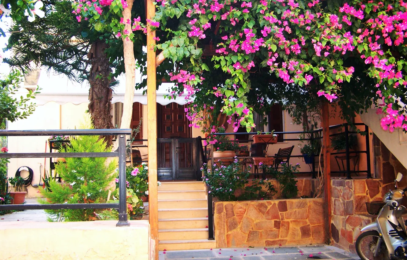 Photo wallpaper nature, home, nature, houses, flowering trees, flowering trees