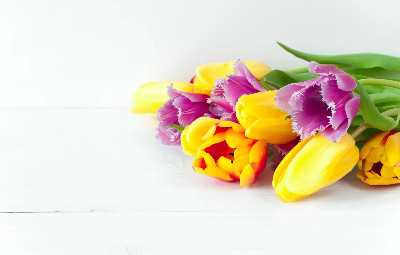 Photo wallpaper flowers, spring, colorful, tulips, fresh, flowers, beautiful, tulips