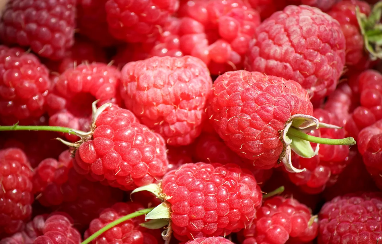 Photo wallpaper macro, berries, raspberry