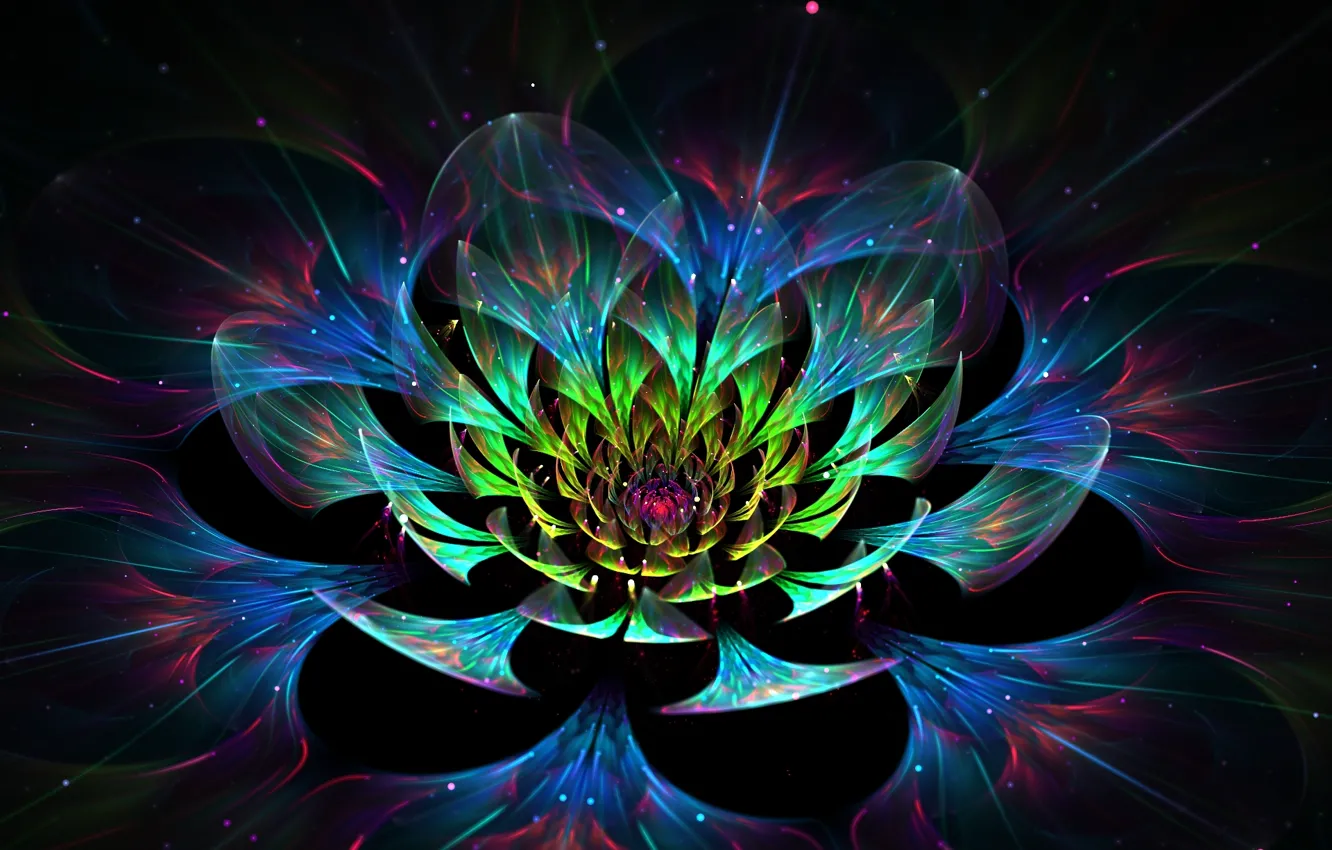 Photo wallpaper flower, abstraction, graphics, petals, Lotus