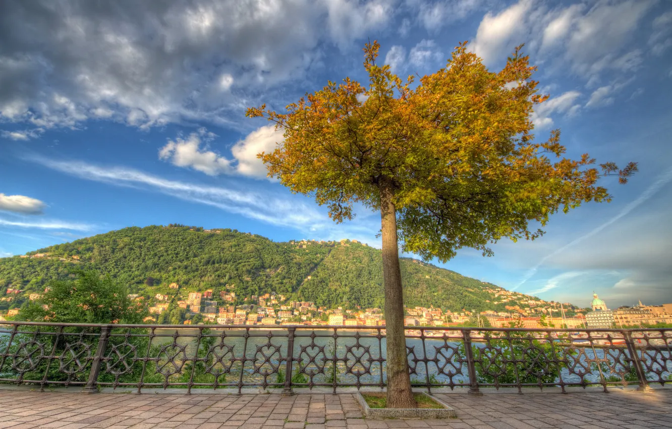 Photo wallpaper tree, Italy, promenade, Italy, lake Como, Lombardy, Como, Como